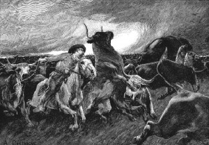 A Stampeded Herd